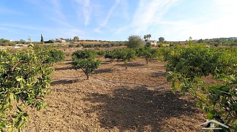 Finca en venta en la zona de La Fresneda, a tan sólo 5 minutos en coche de la Población, ubicada en una zona muy tranquila y priva