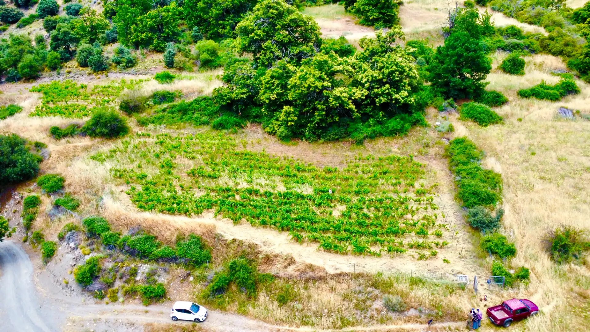 Terreni e lotti in vendita a Alpujarra de la Sierra, imagen 36