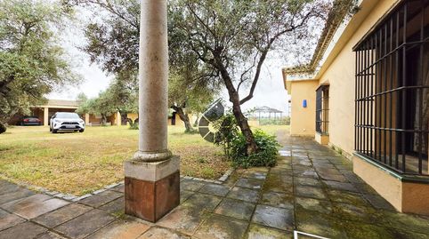 Foto 2 de Finca rústica en venta en Almensilla, Sevilla