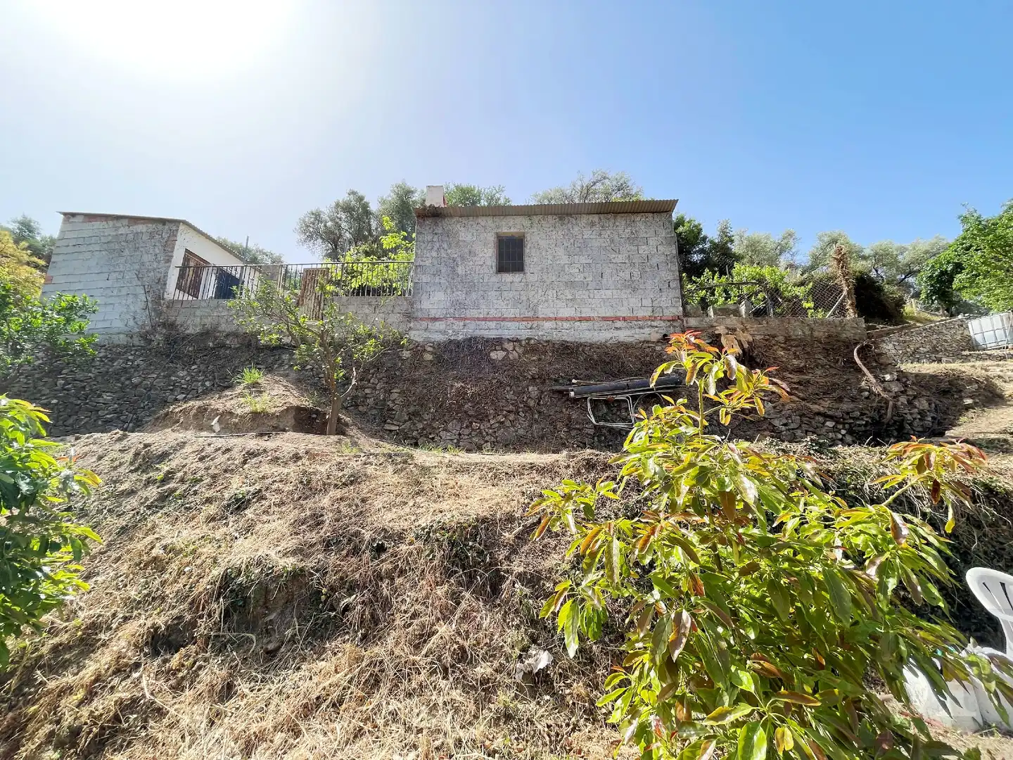 Finca rústica en venta en Cómpeta