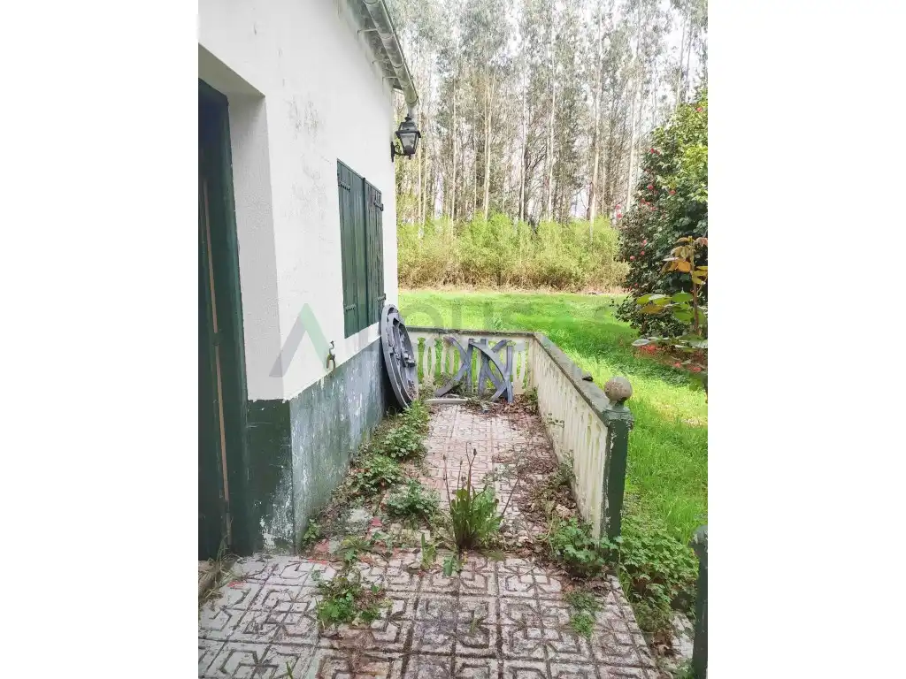 Houses for sale in Parroquias del Este