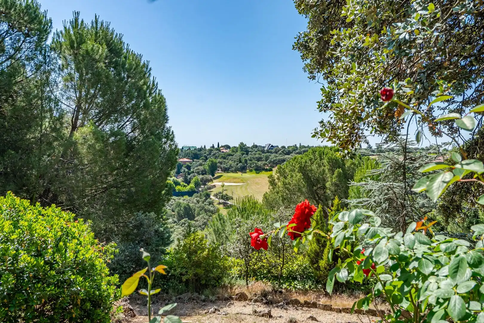 Jardín de Casa o chalet en venta en Las Rozas de Madrid con Aire acondicionado, Calefacción y Jardín privado