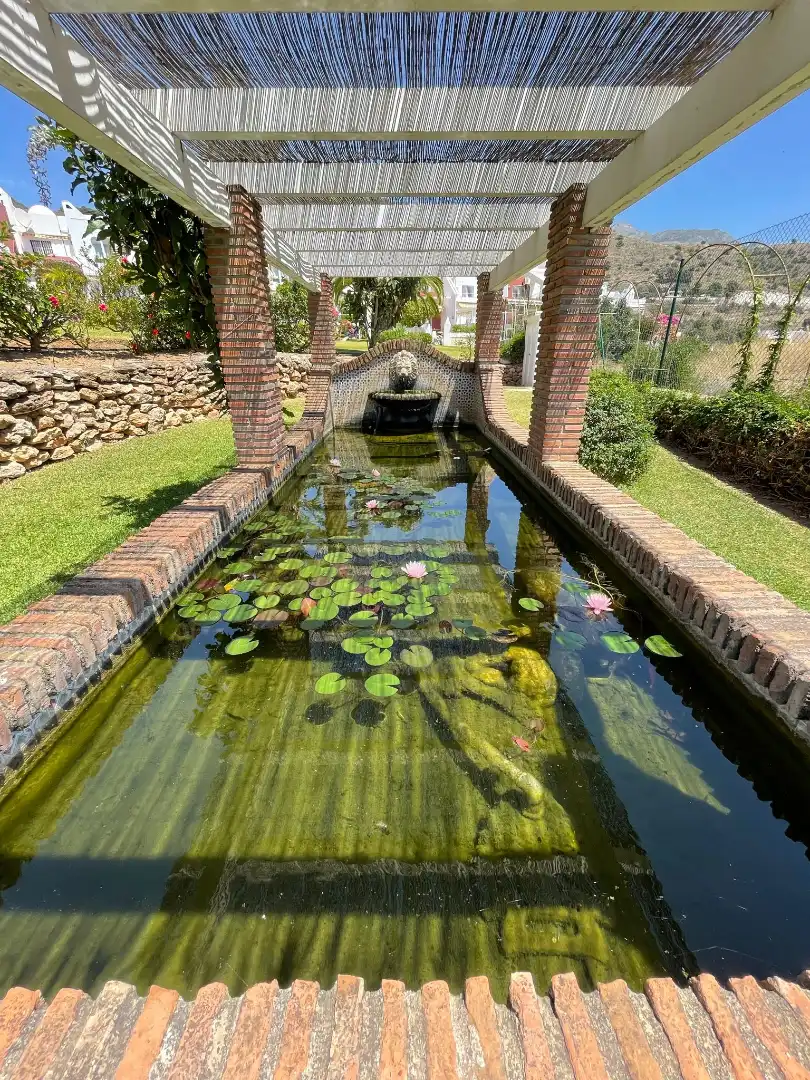 Casa o chalet de alquiler en Calle los Álamos, Capistrano