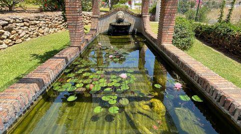 Foto 3 de Casa o xalet de lloguer a Calle Los Álamos, 41a, Capistrano, Nerja