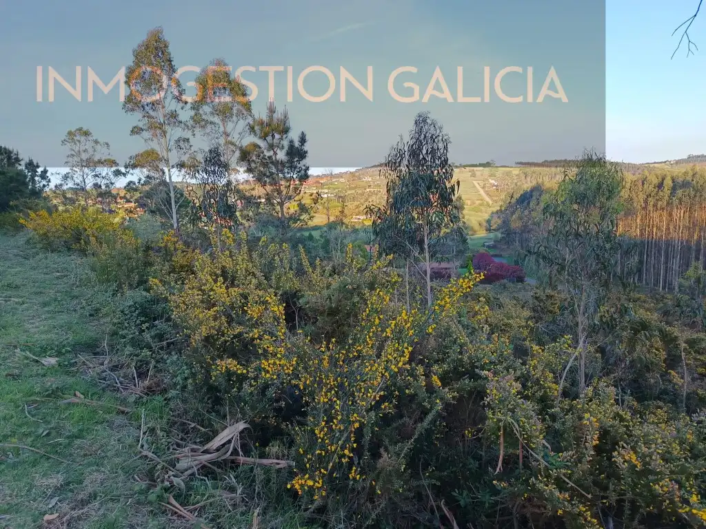 Residential land for sale in Rua Magnolio, imagen 2