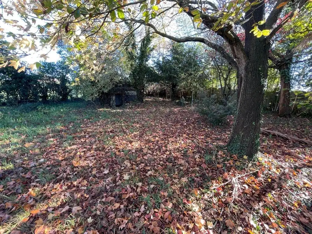 Country homes for sale in Cudón