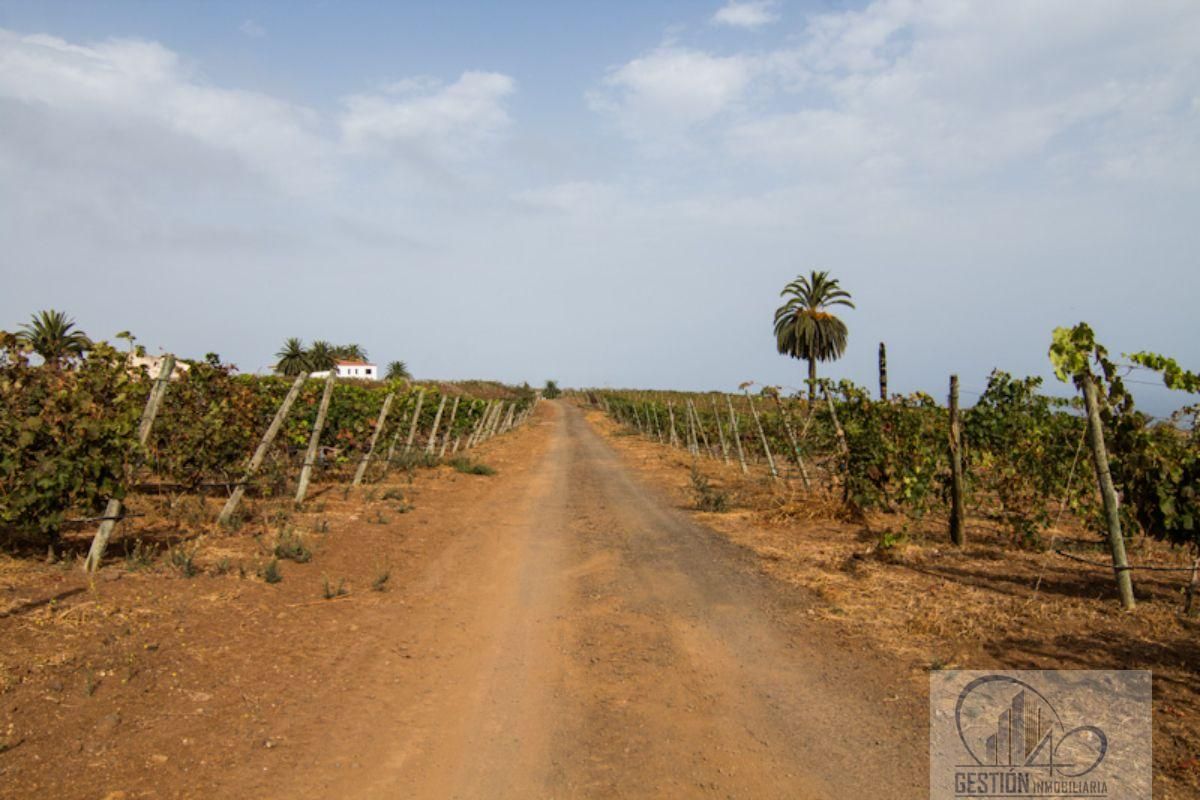 Vista exterior de Finca rústica en venda en Santa Úrsula amb Terrassa i Balcó