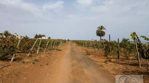 Foto 2 de Finca rústica en venda a La Vera - El Farrobillo - Tosca de Ana María, Santa Úrsula