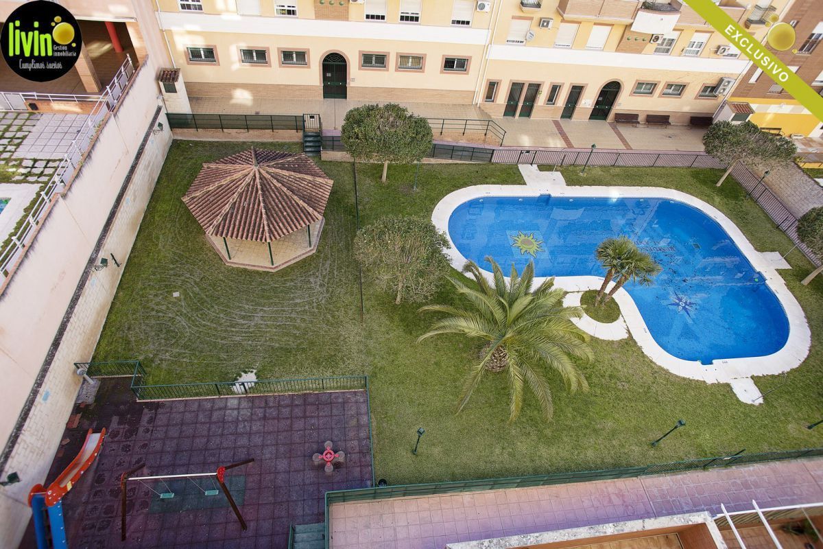 Swimming pool of Flat to rent in  Jaén Capital
