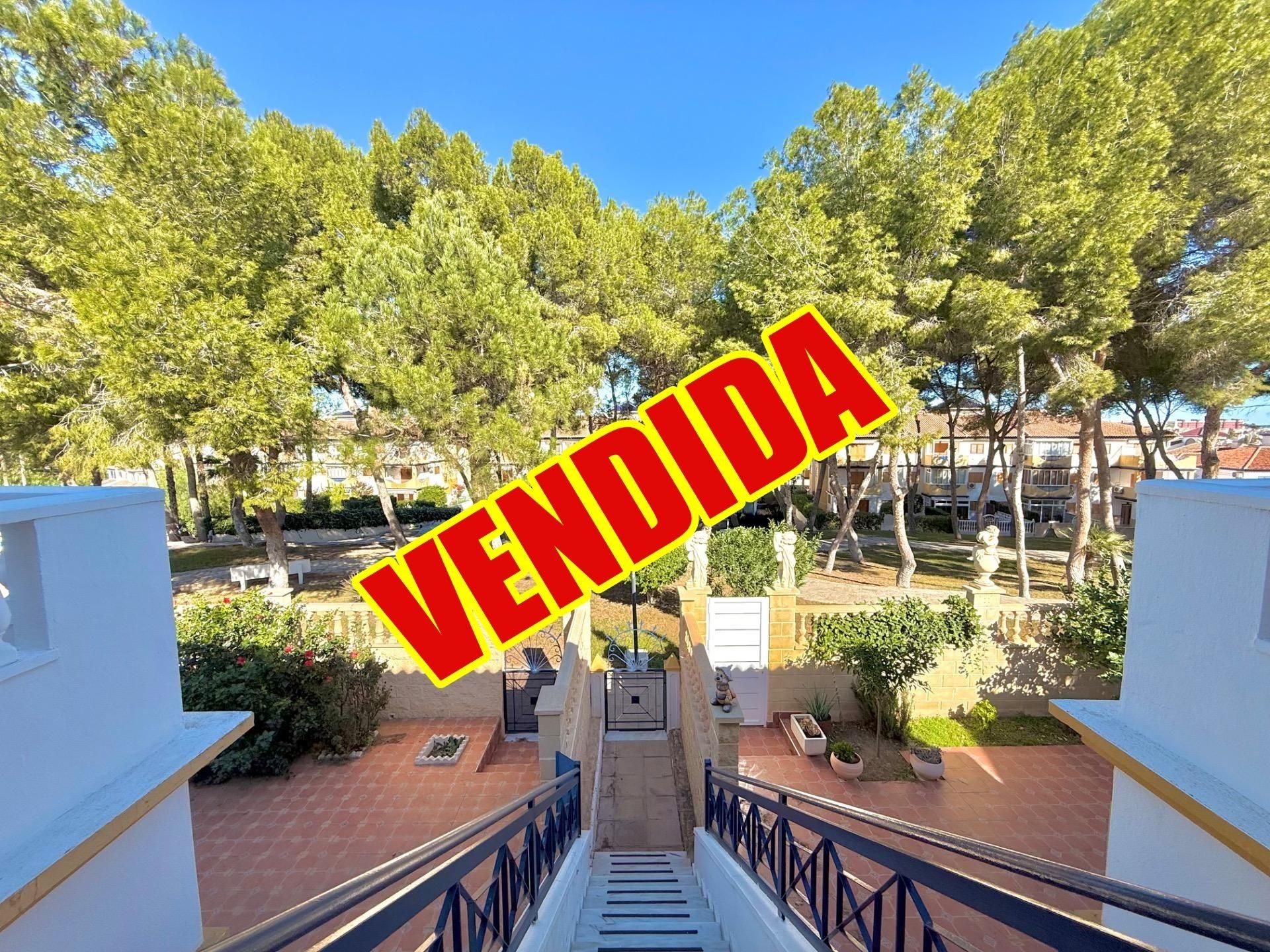 Jardí de Casa o xalet en venda en Orihuela amb Aire condicionat, Terrassa i Alarma