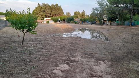 Terreno Rústico en venta en San Isidro., immagine 2