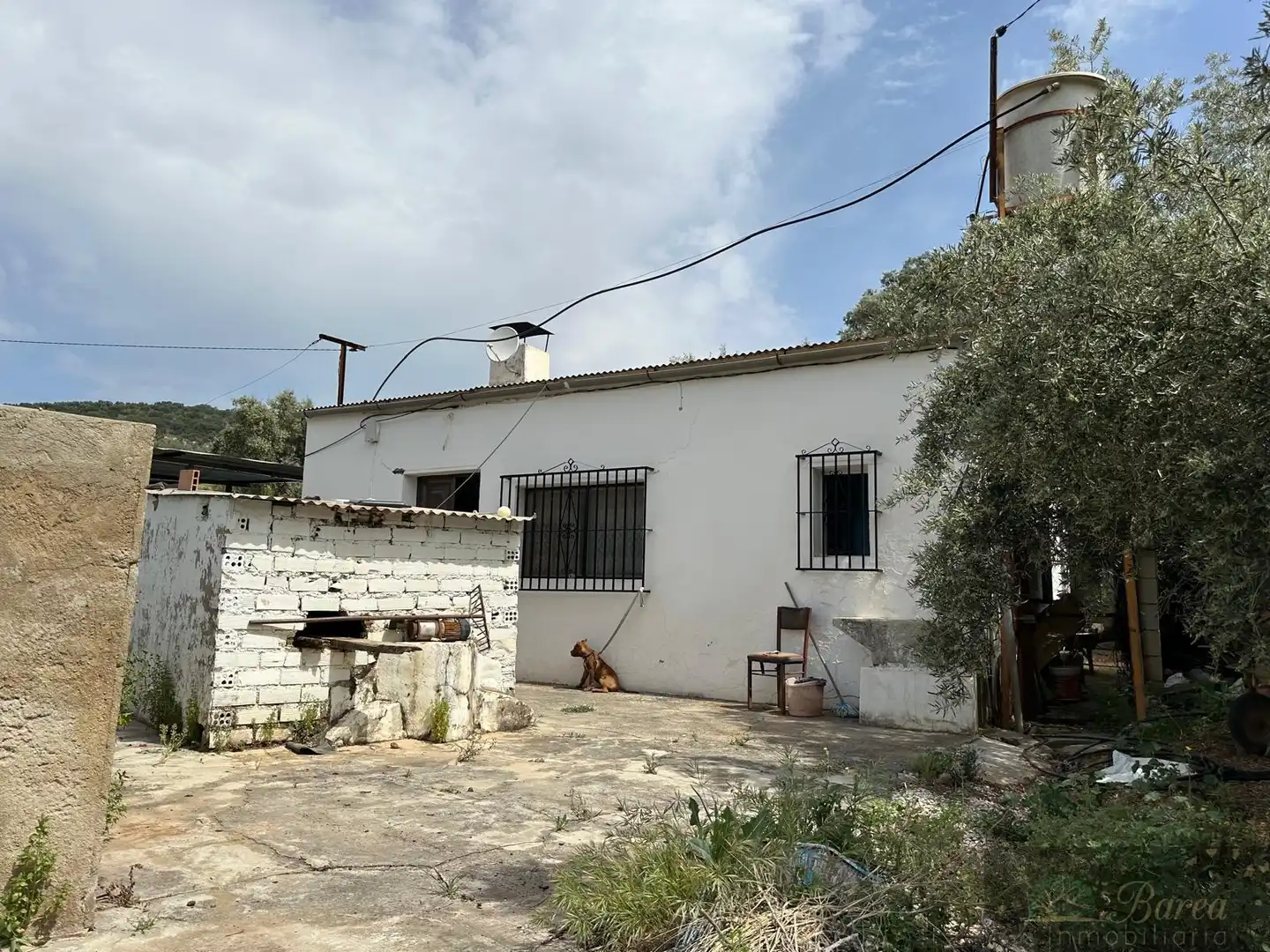 Maison avec piscine à vendre à Rute, imagen 12