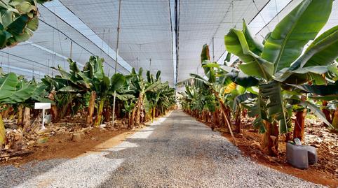 Foto 2 de Casa o xalet en venda a Sardina, Gáldar