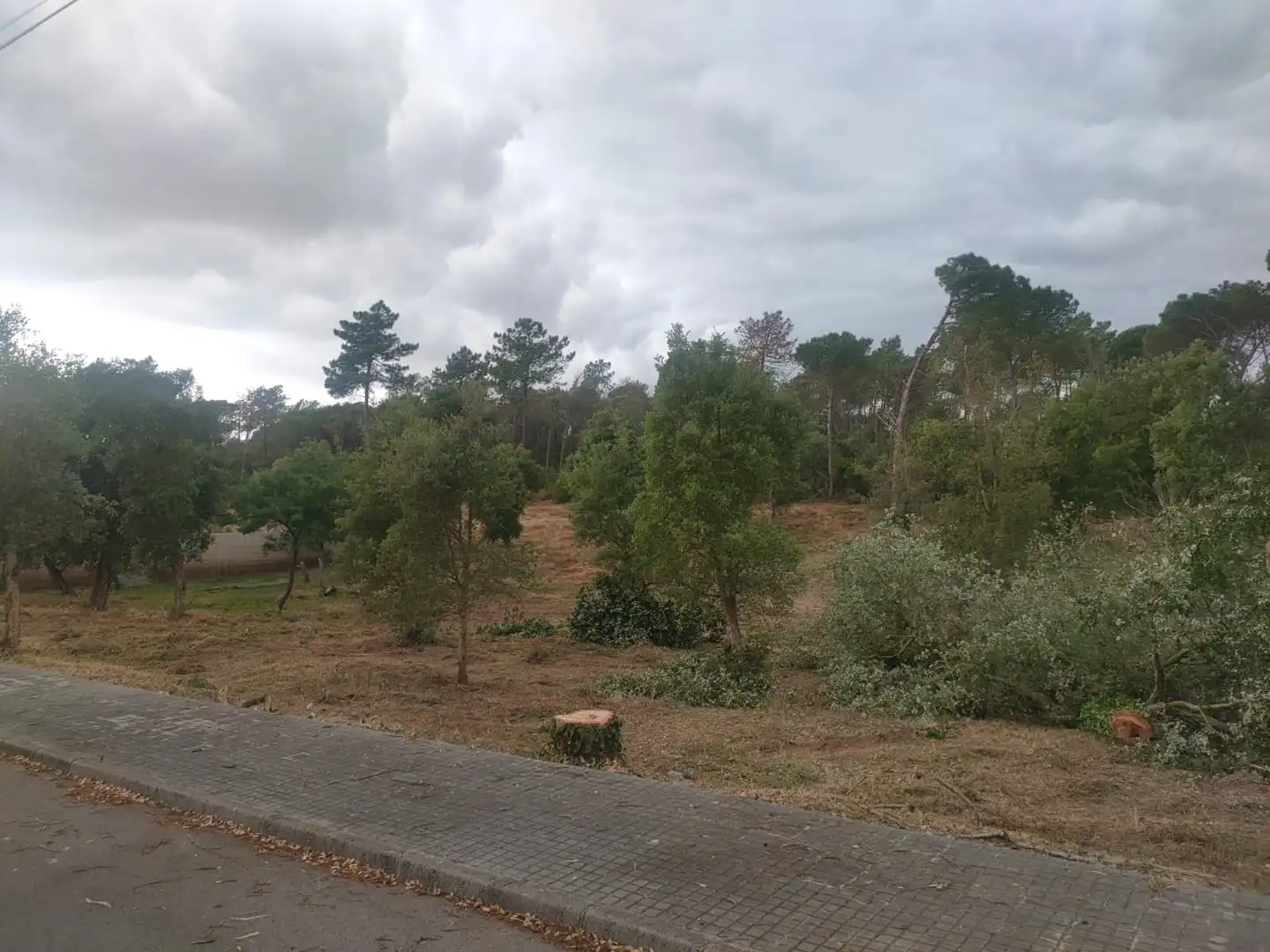 Residential land for sale in Avinguda Catalunya