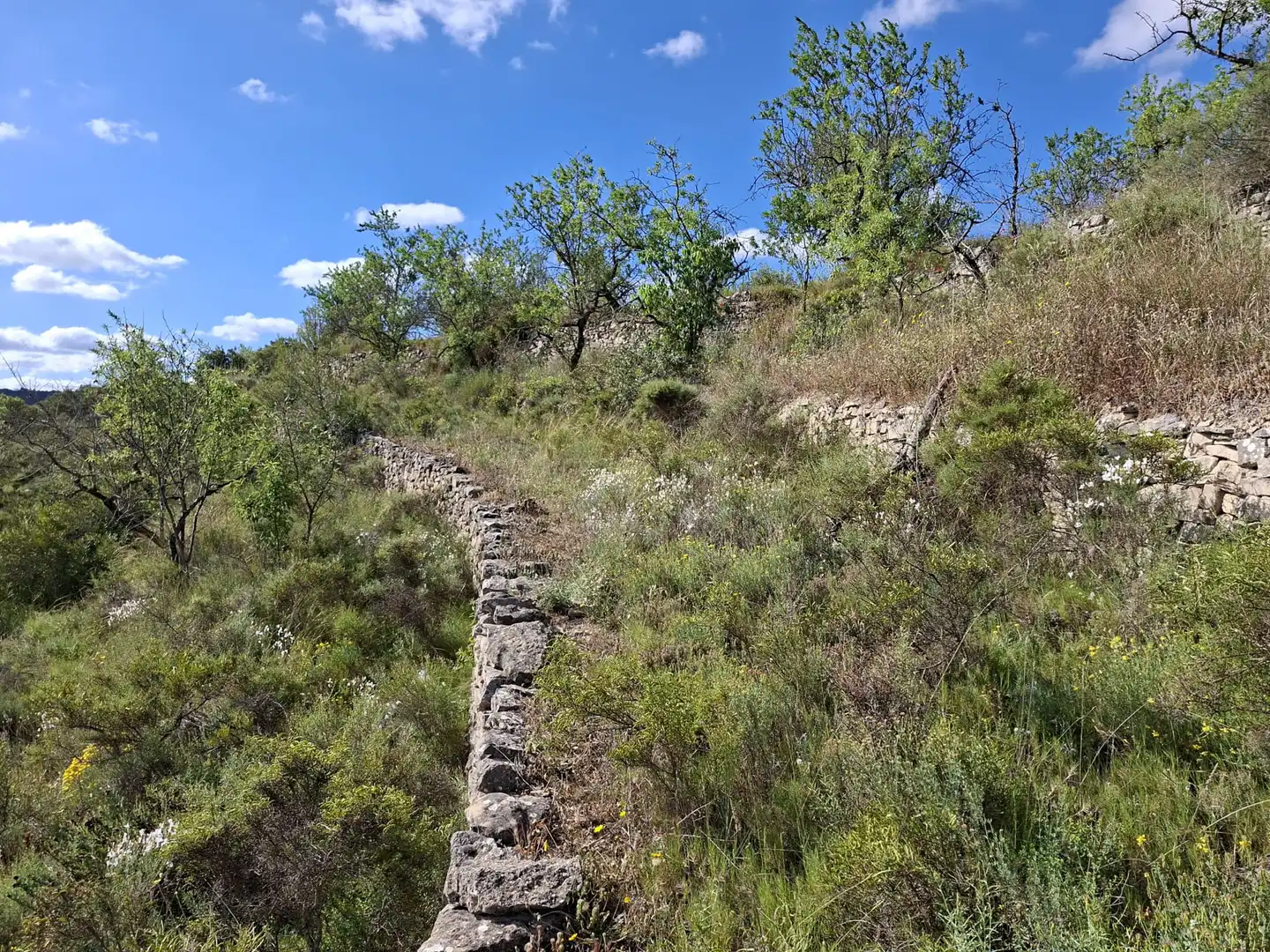 Finca rústica en venta en Vilalba dels Arcs