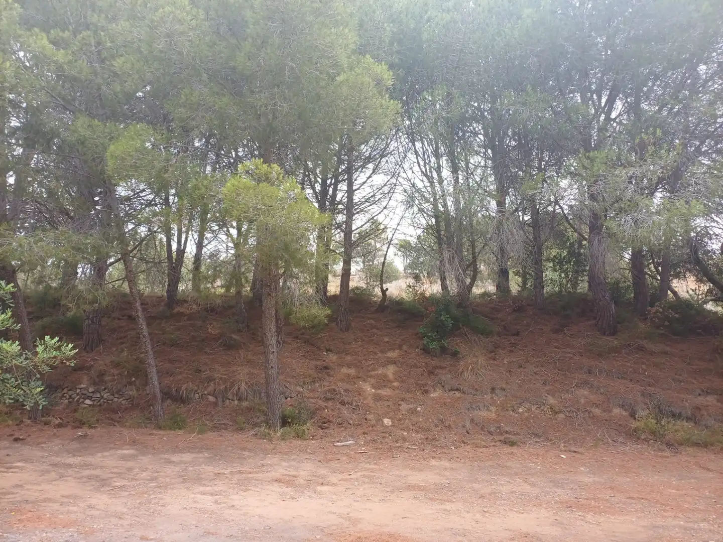 Terreno en venta en Vilanova d'Escornalbou