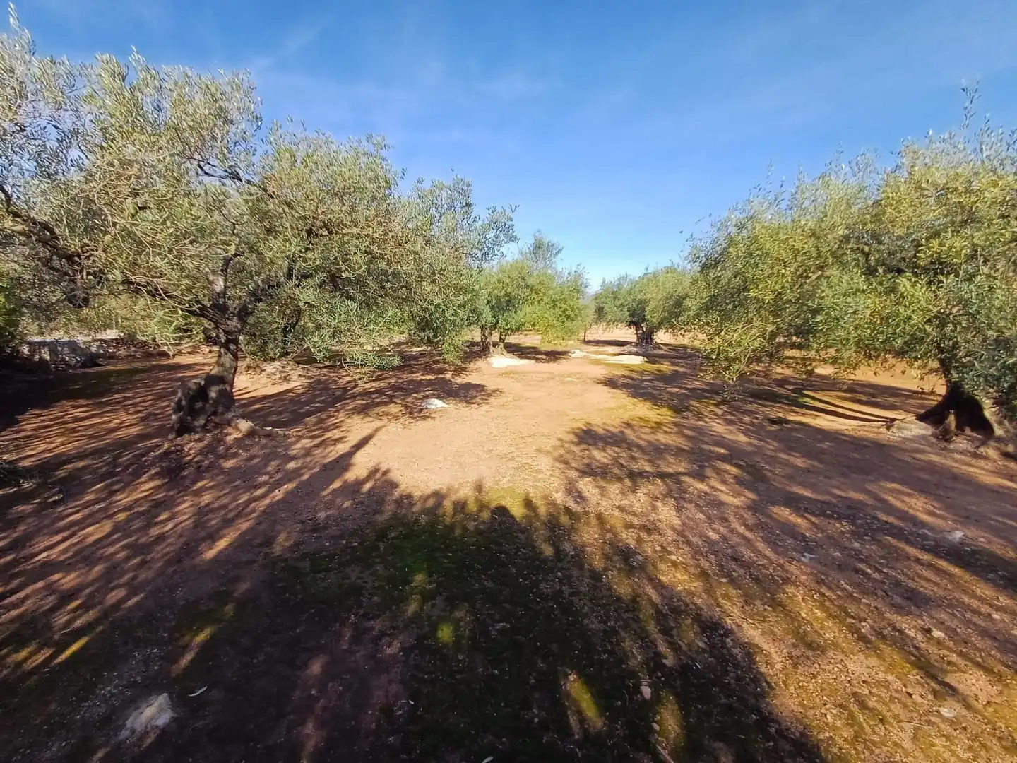 Land for sale in Aldover