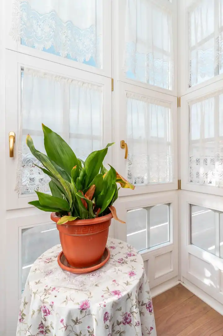 Casa o chalet en venta en Tapia de Casariego con Jardín privado, Amueblado y Balcón