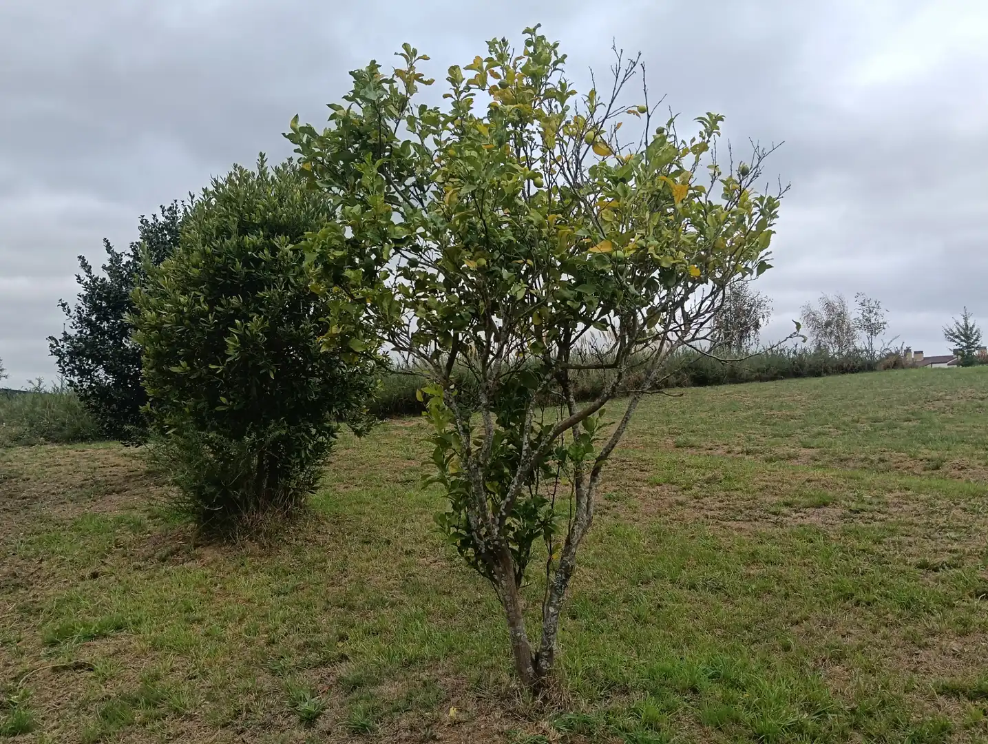 Terreni e lotti in vendita a Miño, imagen 10