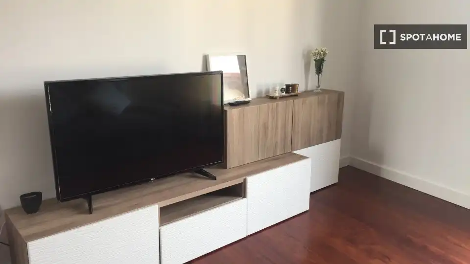 Room in Egia