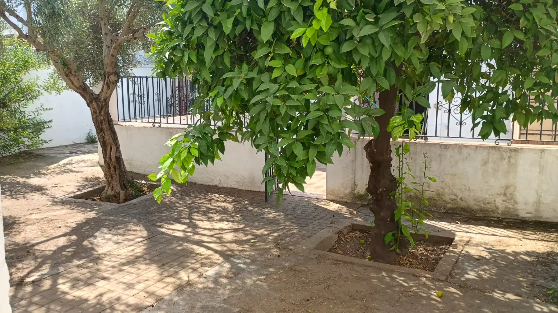 Garten von Einfamilien-Reihenhaus zur Miete in Villanueva del Ariscal mit Privatgarten, Ofen und Waschmaschine
