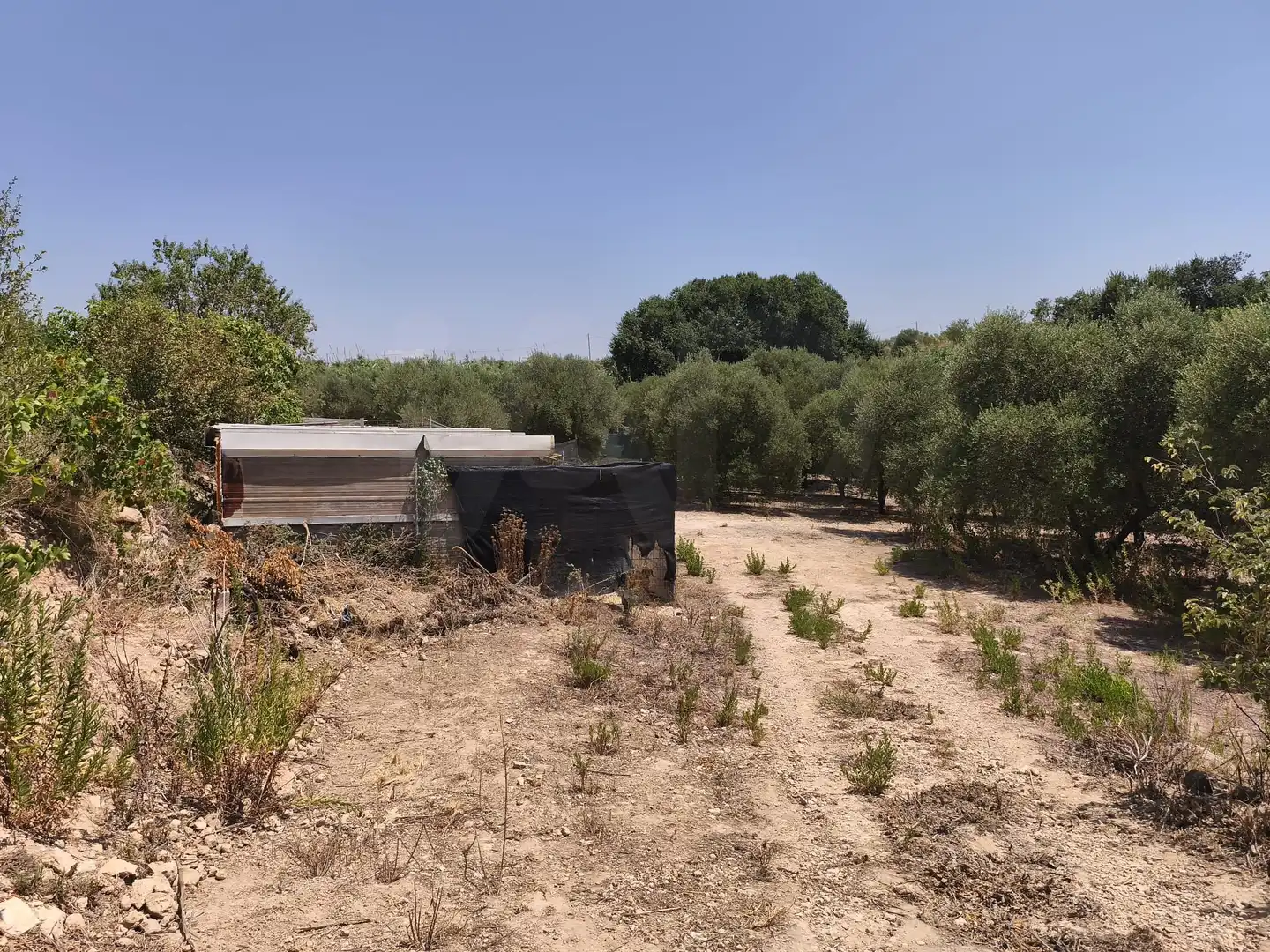 Rustikales Grundstück zum Verkauf in Sant Jaume dels Domenys, imagen 21