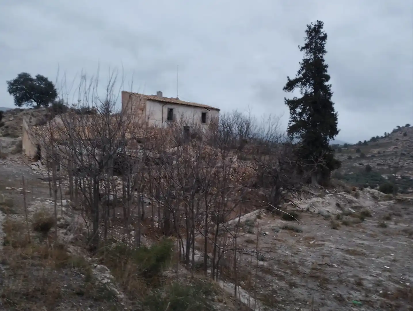 Terreno rustico in vendita a Pt Rincón de Egea - Hoya Redonda -, imagen 9