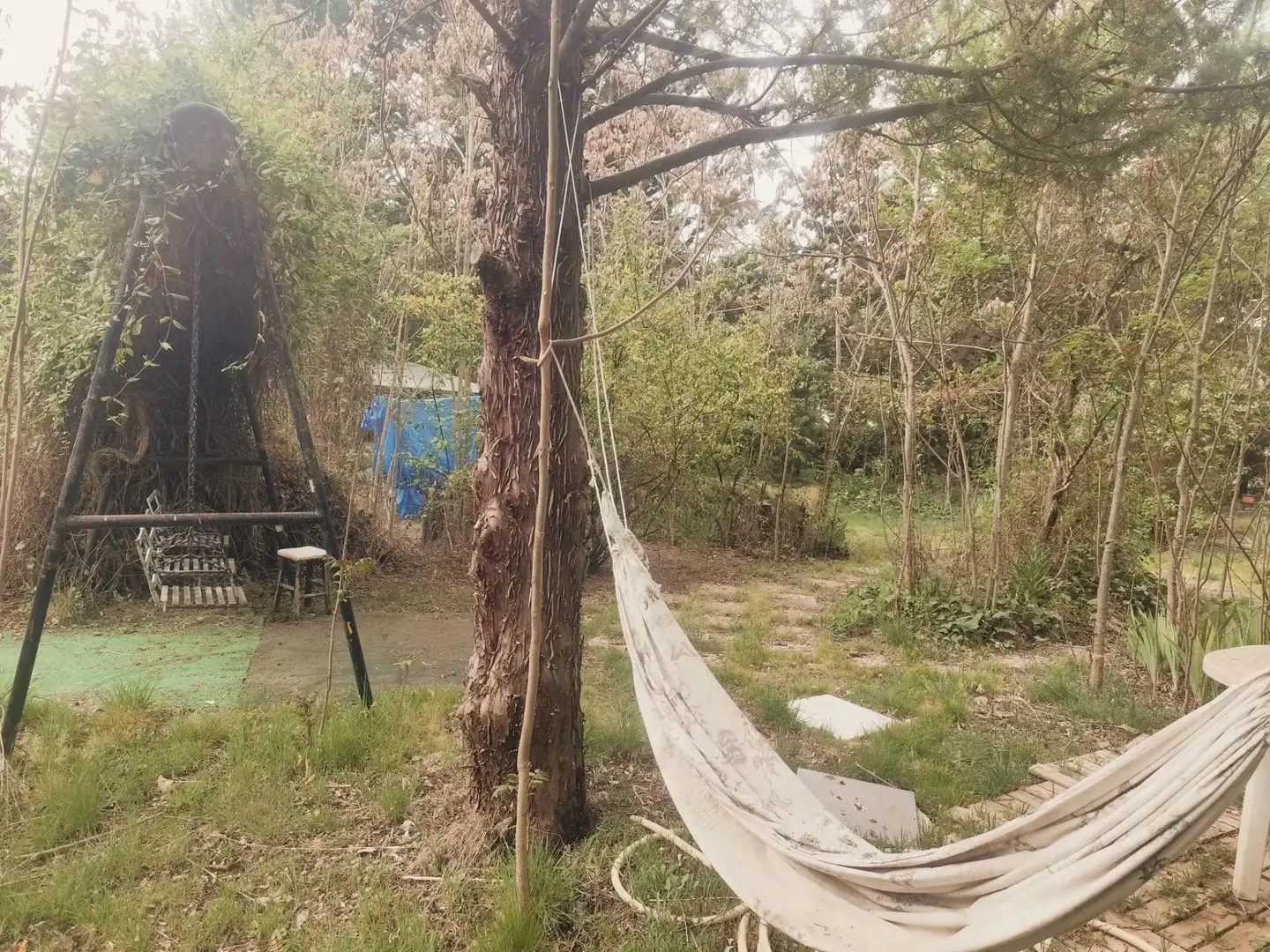 Jardí de Casa o xalet en venda en Hontoba amb Calefacció