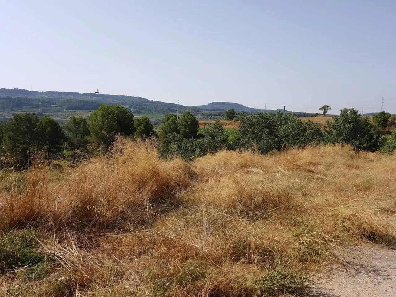 Terreny residencial en venda a Plaza Bòbila d´en Can Mota, imagen 5