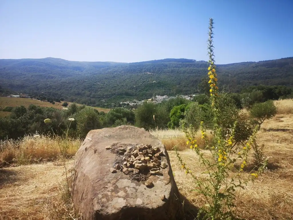 Casa rústica en venda a Gaucín, imagen 32