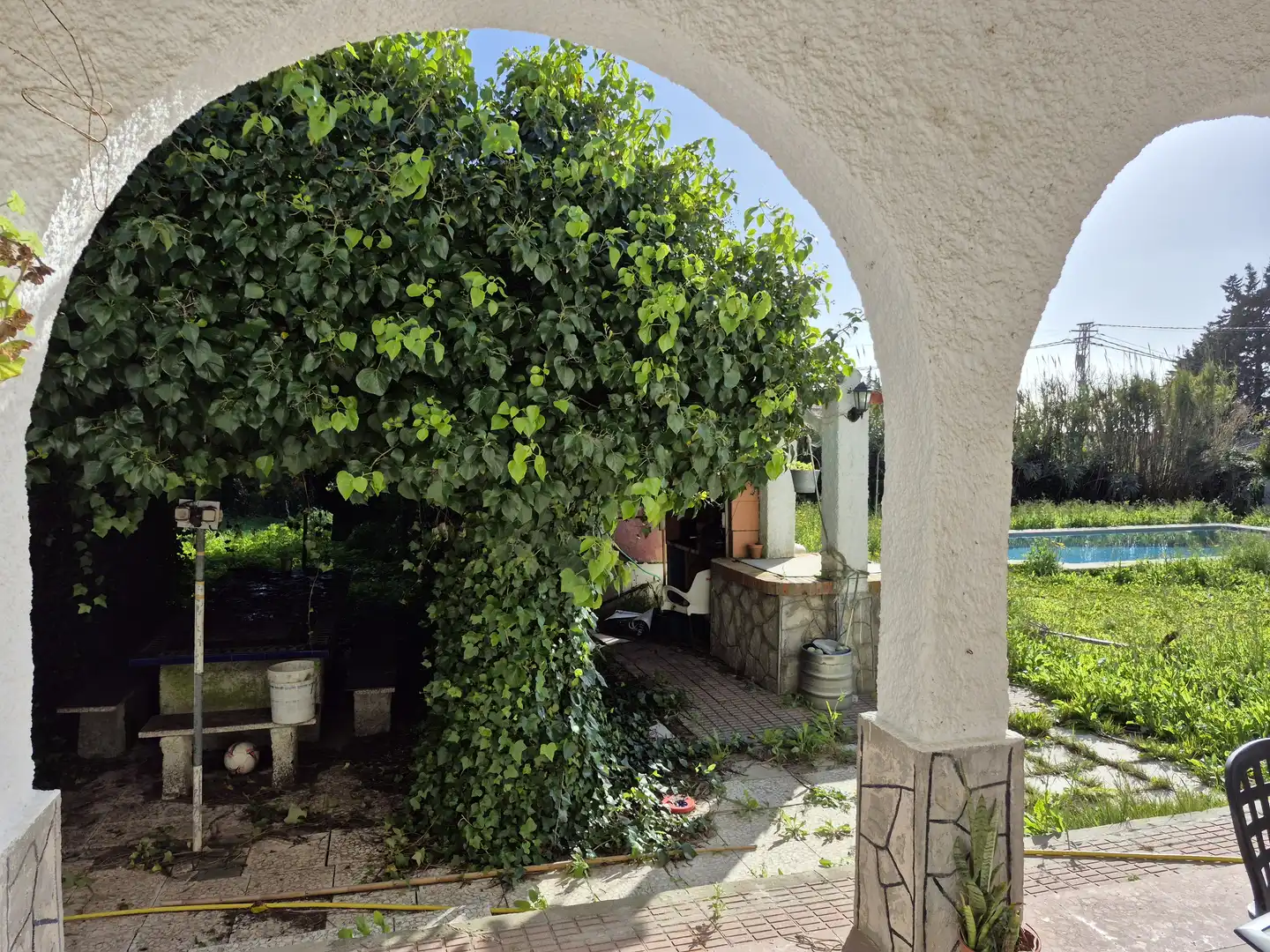 Jardín de Casa o chalet en venta en Conil de la Frontera con Piscina