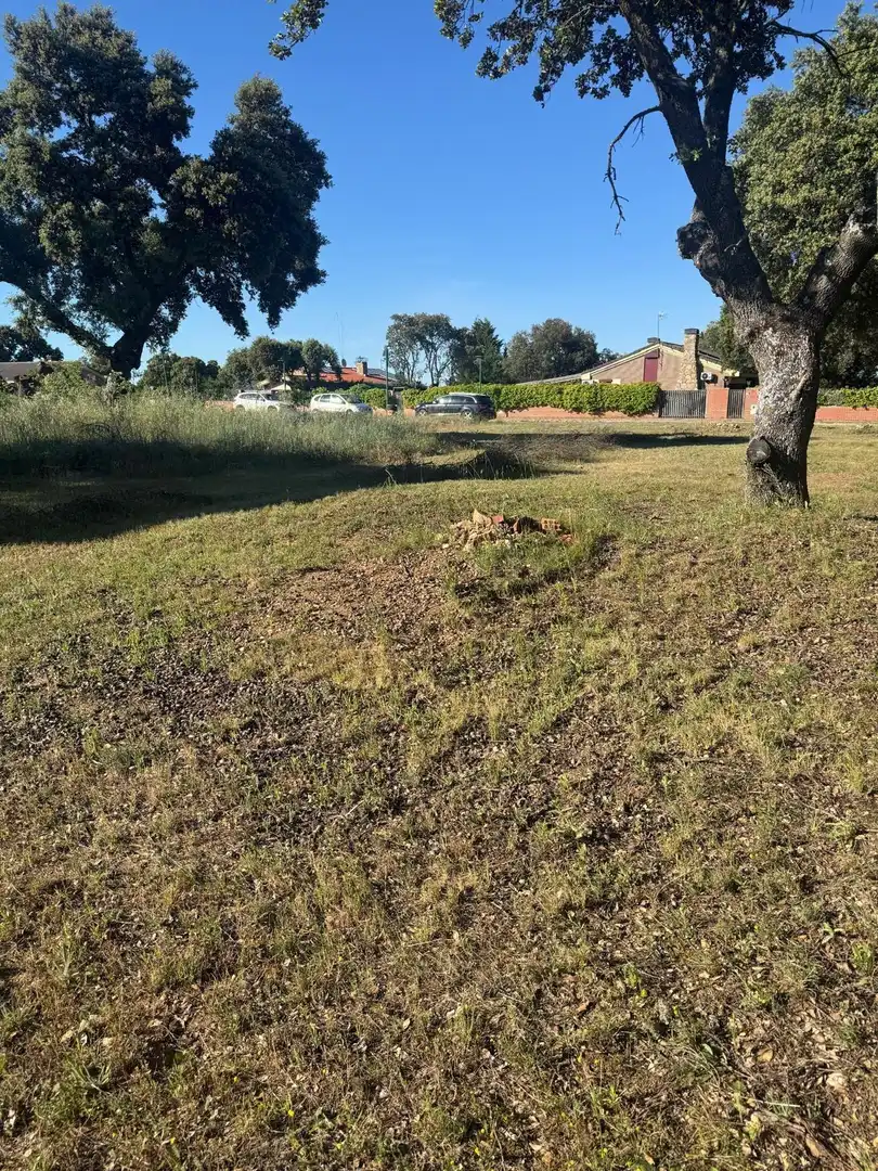Residencial en venta en Carrascal de Barregas