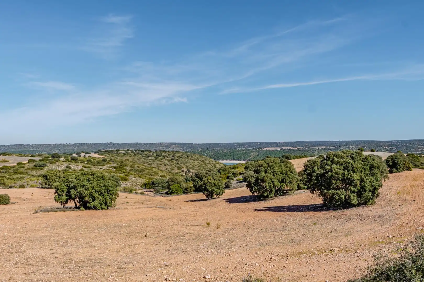 Finca rústica en venta en Polígono Polígono 123 Paraje 187 TERCERO, 18, Argamasilla de Alba