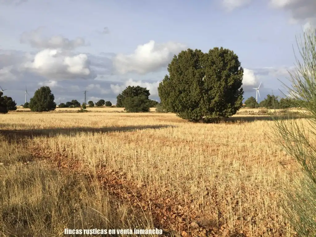 Terreni e lotti in vendita a Munera, imagen 12