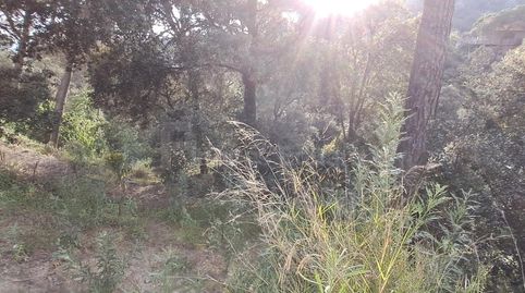 Photo 3 of Residential for sale in Can Massuet del Far, Dosrius