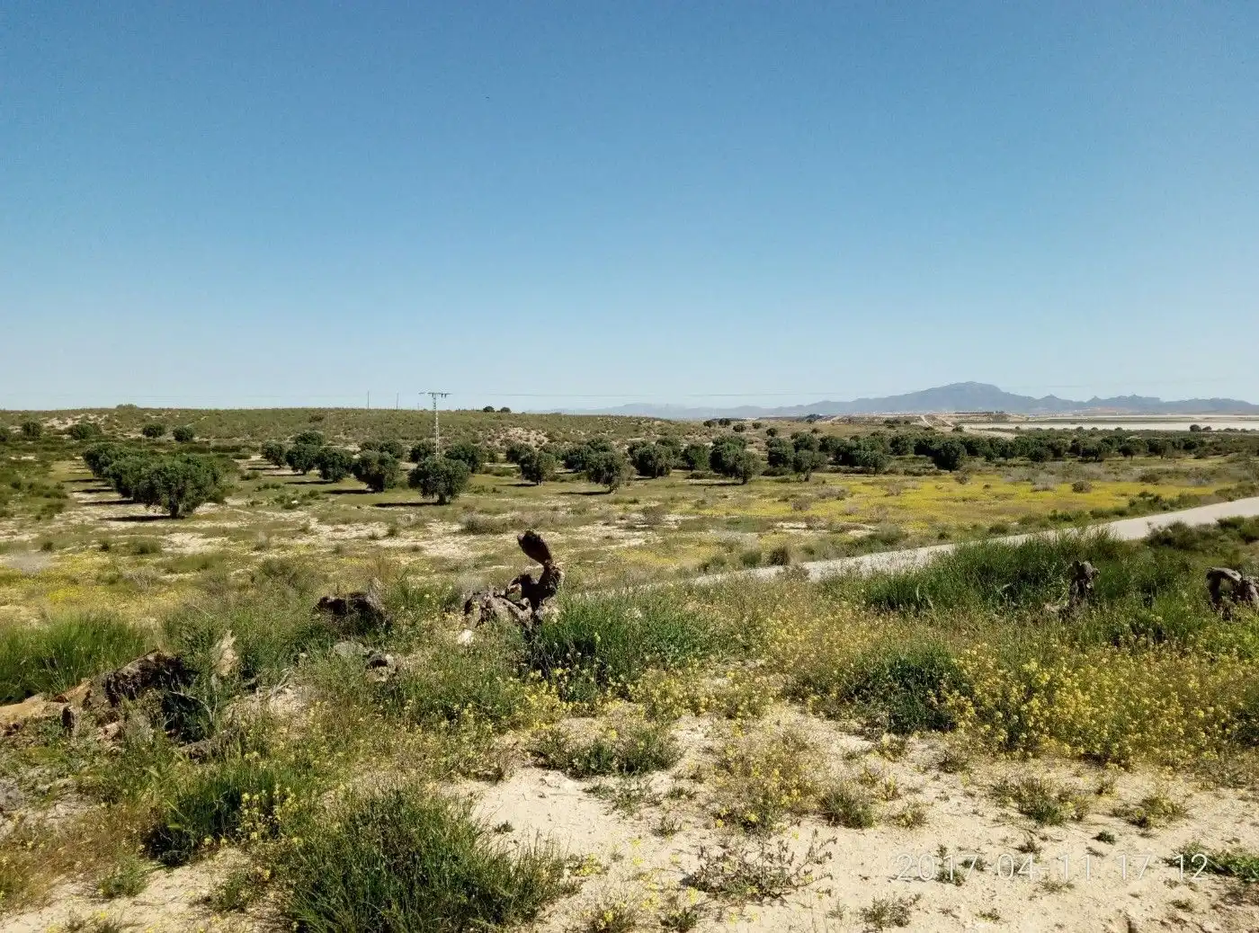 Terreny residencial en venda a Sierra de Carrascoy, imagen 33