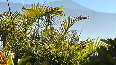 Foto 3 de Ático de alquiler en San Antonio - Las Arenas, Puerto de la Cruz