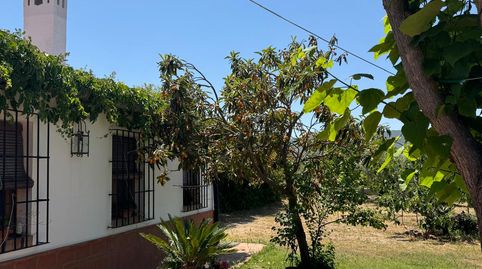 Foto 2 de Casa o chalet en venta en Castuera, Badajoz