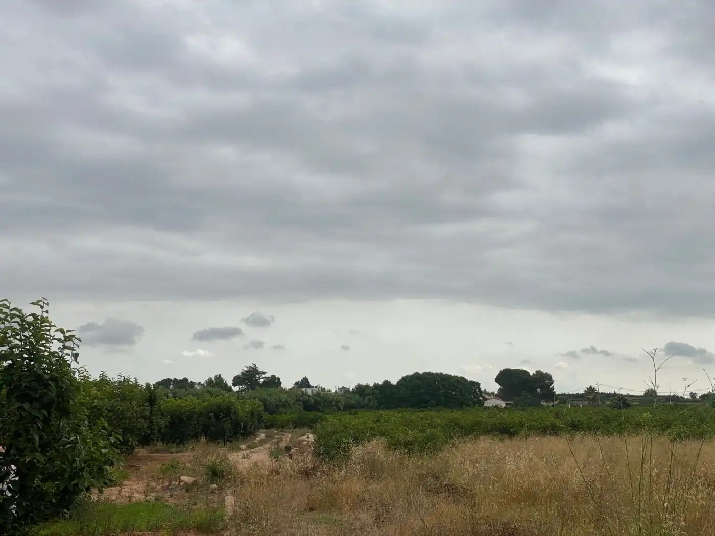Land for sale in Carlet