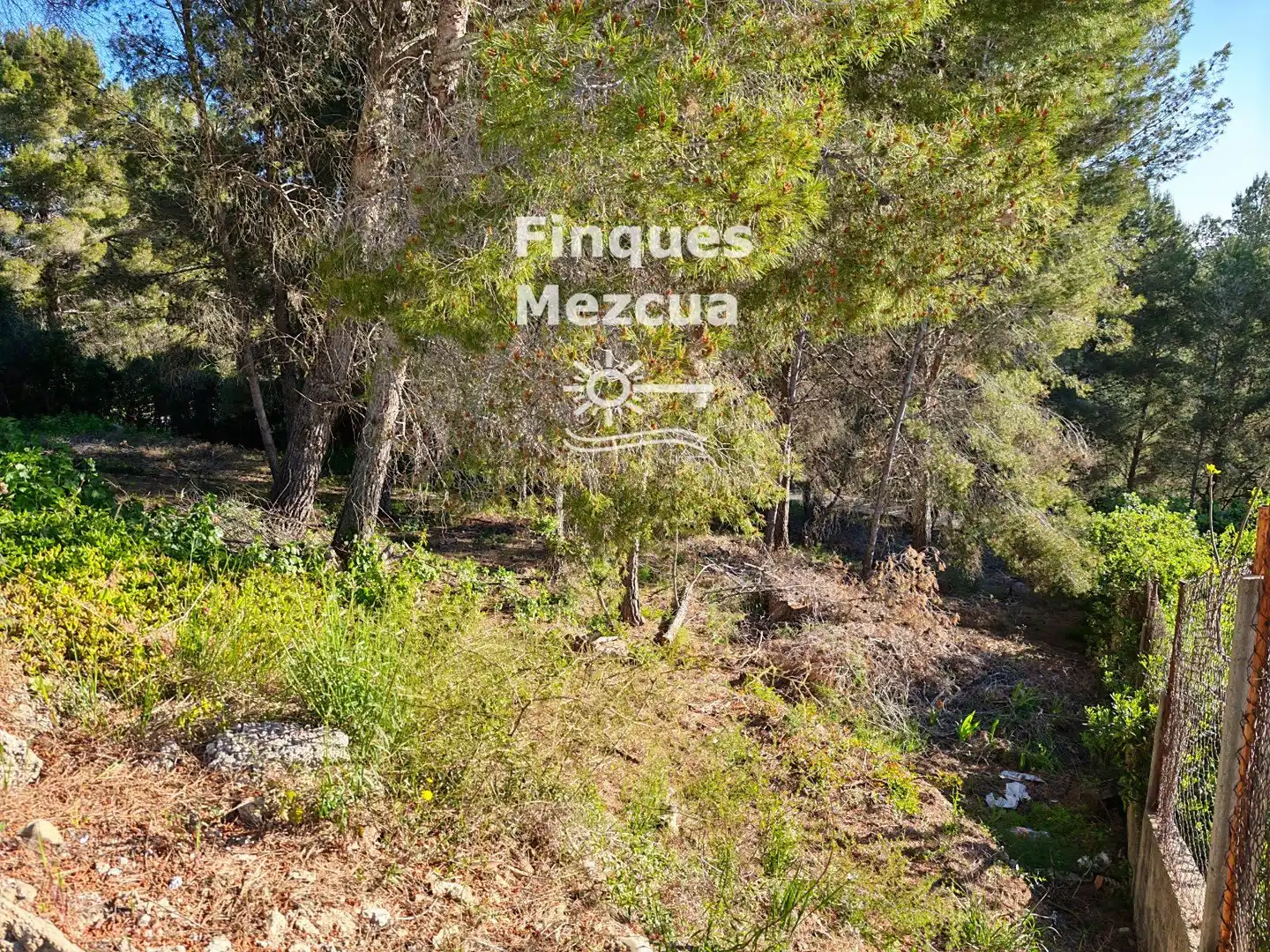 Residential land for sale in La Bisbal del Penedès, imagen 4