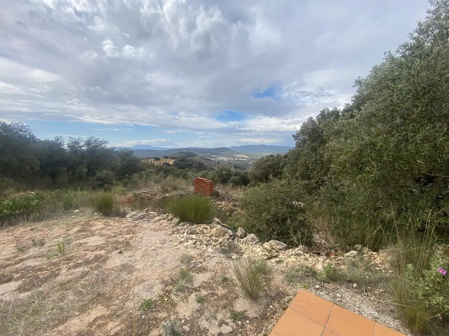 Terreni e lotti in vendita a Alcalá la Real, imagen 44