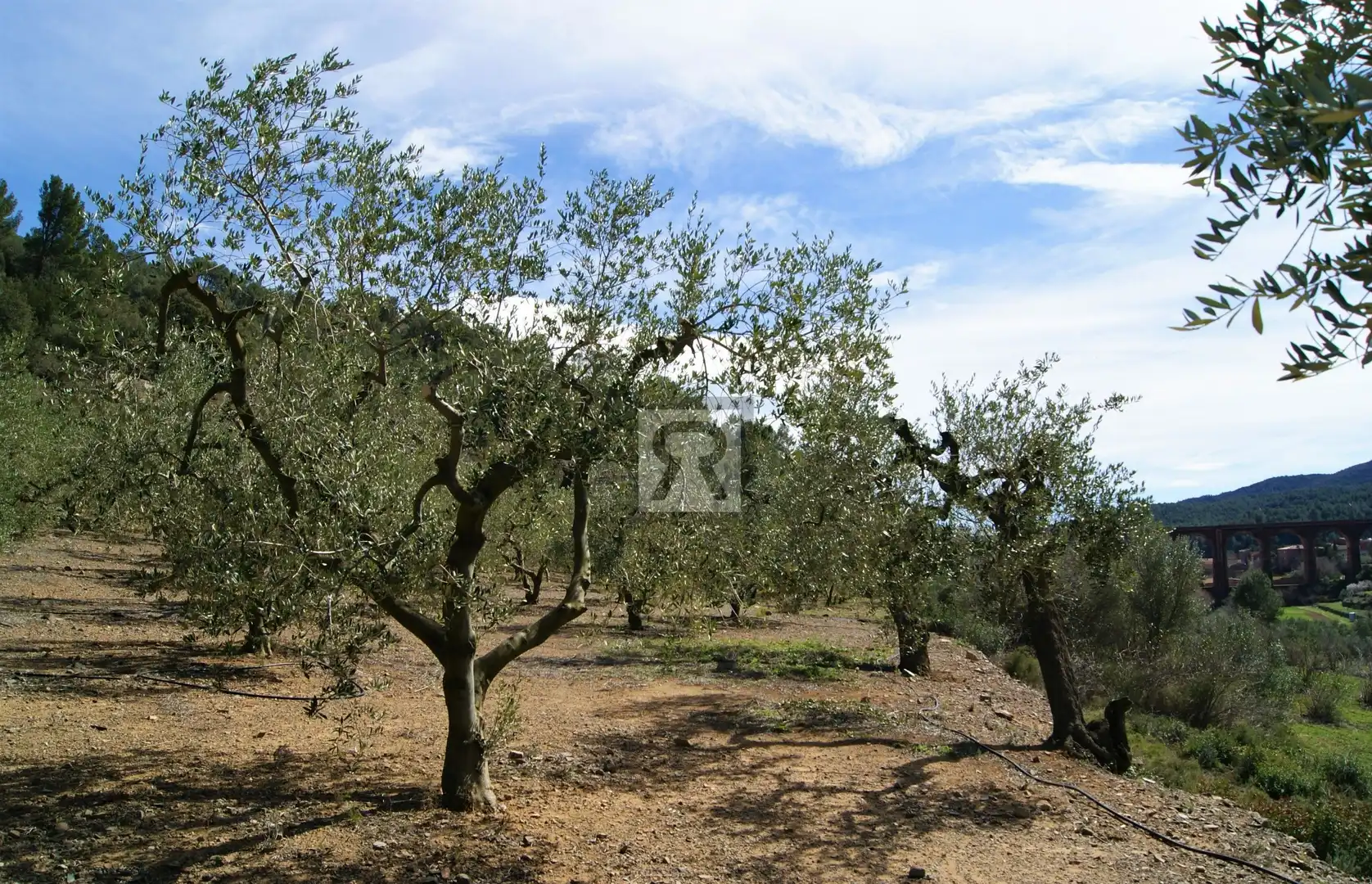 Terreno en venta en T-313, 5, Duesaigües