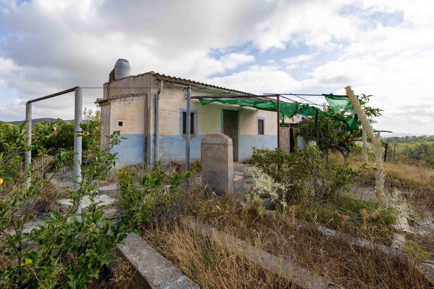 Vista exterior de Finca rústica en venda en Mula