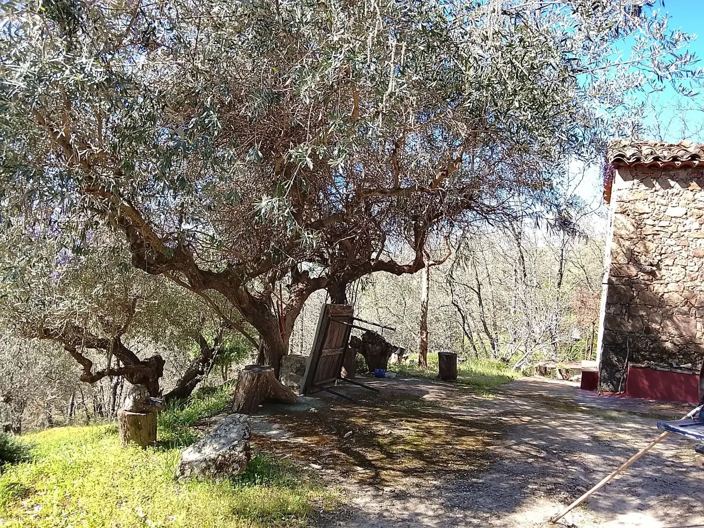 Terreni e lotti in vendita a Candeleda, imagen 42