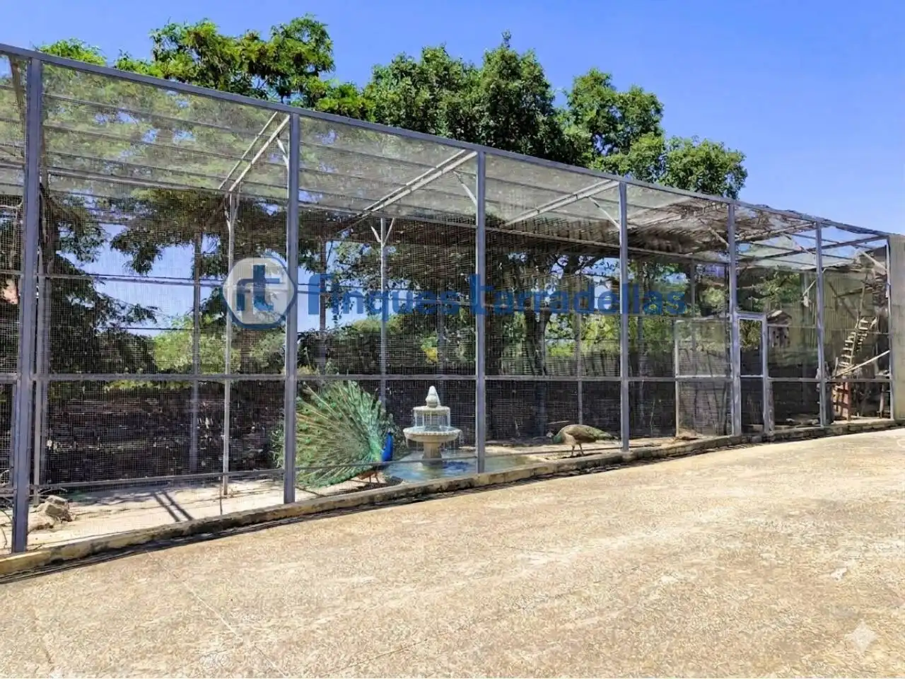 Rural land for sale in Mas Mora - Sant Daniel, imagen 46