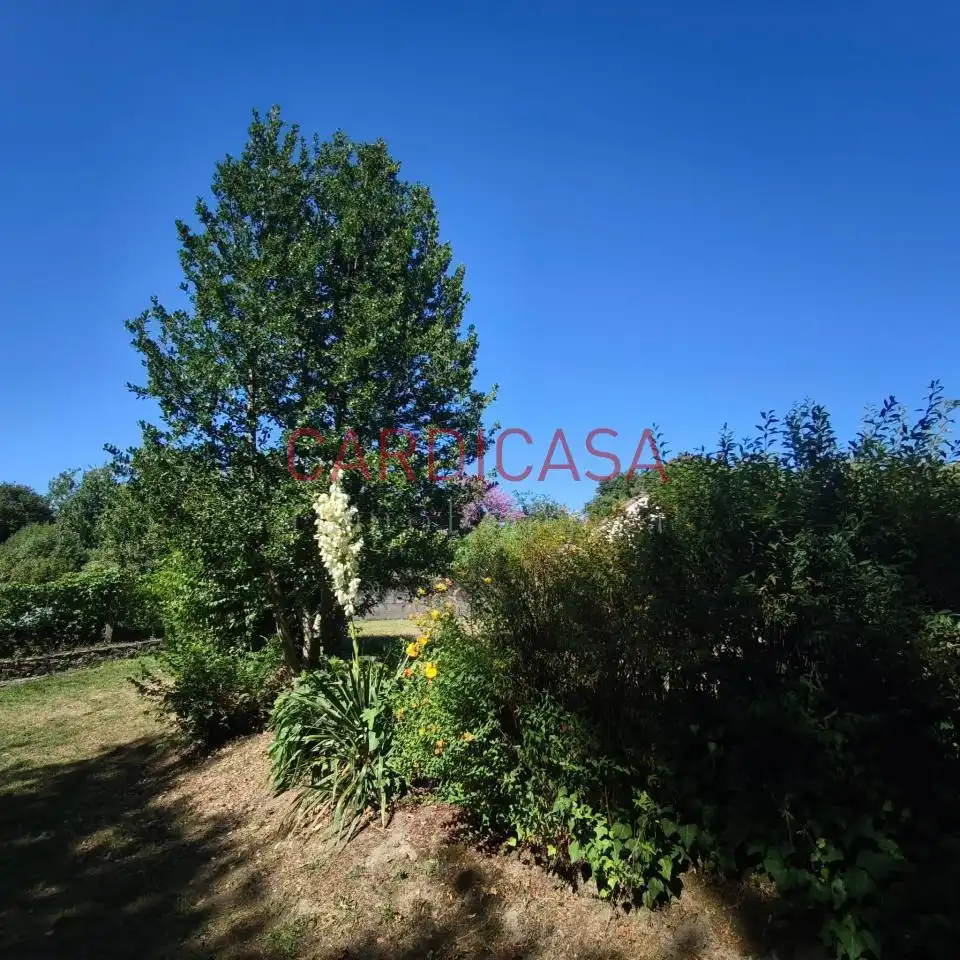 Jardí de Casa o xalet en venda en Mondariz amb Calefacció, Jardí privat i Terrassa
