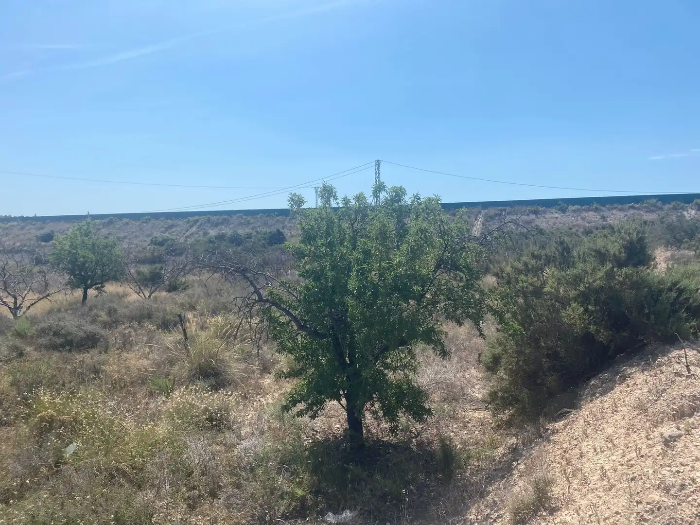 Land for sale in San Vicente del Raspeig / Sant Vicent del Raspeig