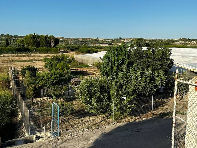 Terreno en Venta en Archena
