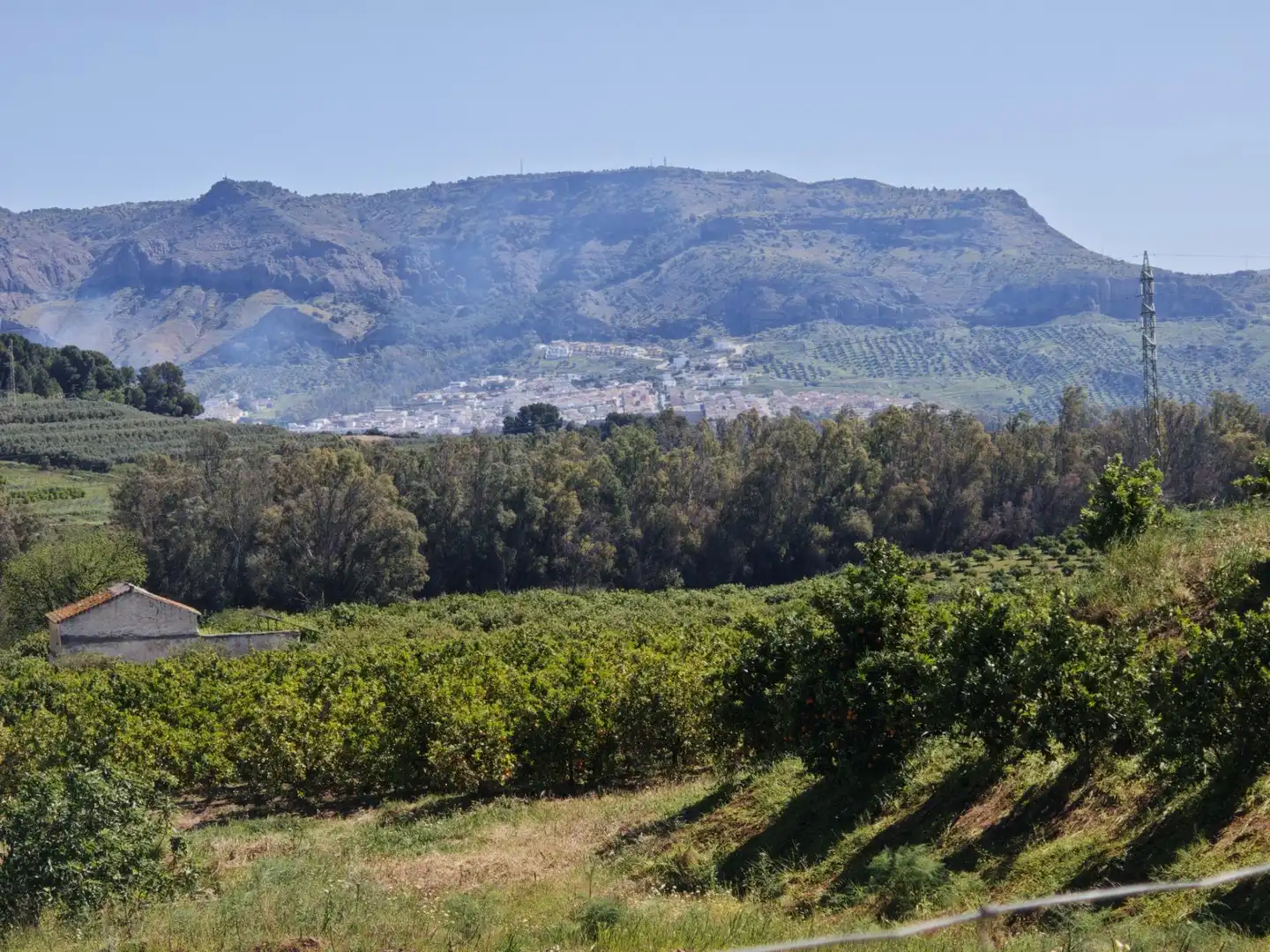 Vista exterior de Finca rústica en venda en Cártama