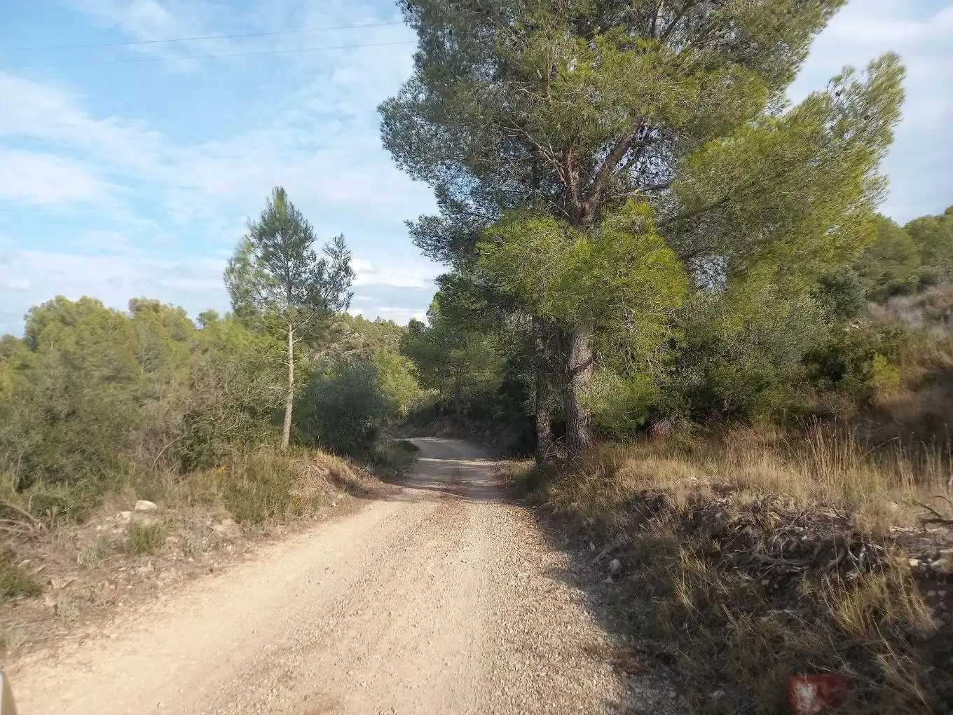 Rural land for sale in Benissanet, imagen 38
